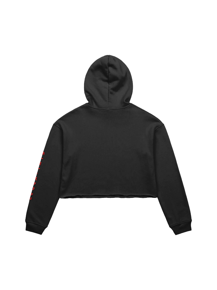 Y2K Style Cropped Hoodie V2 product image (2)