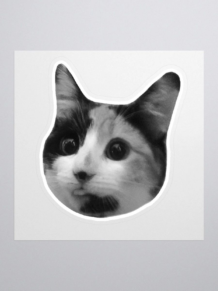 SPOINS - Sticker product image (1)