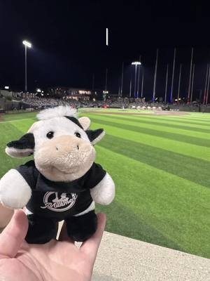 Meet Moobert 😍 Enjoying a little Family outing at the @mkemilkmen, also mad love to Bo Vine ❤️  #family #mkemilkmen #mkemilkmenbaseball #mkemilkmengame #mkebucks 