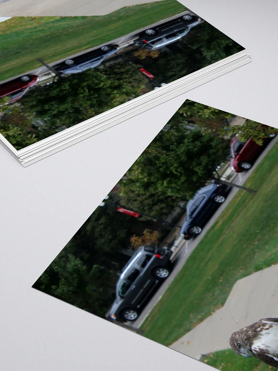 Shame's Gravity product image (13)
