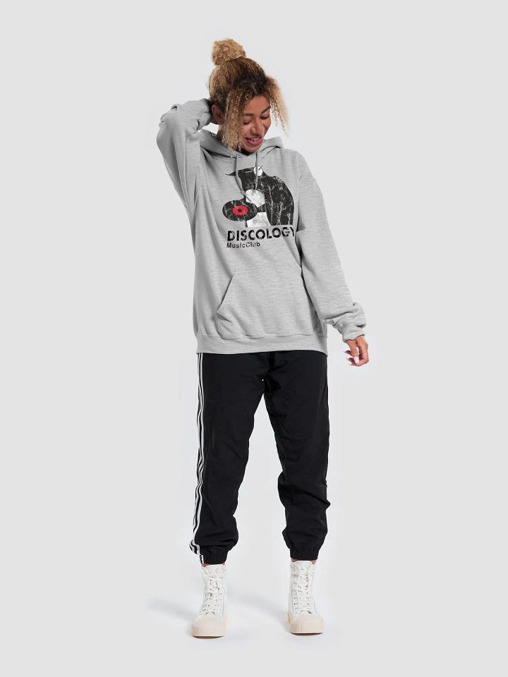 Discology - Vintage Style Hoodie product image (1)