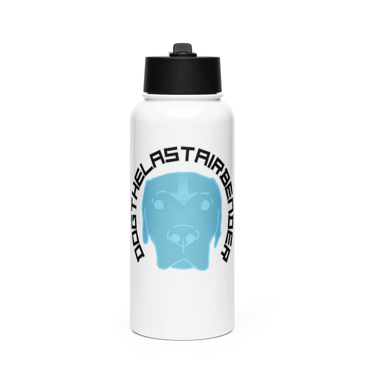 DTLA stainless steel waterbottle product image (1)