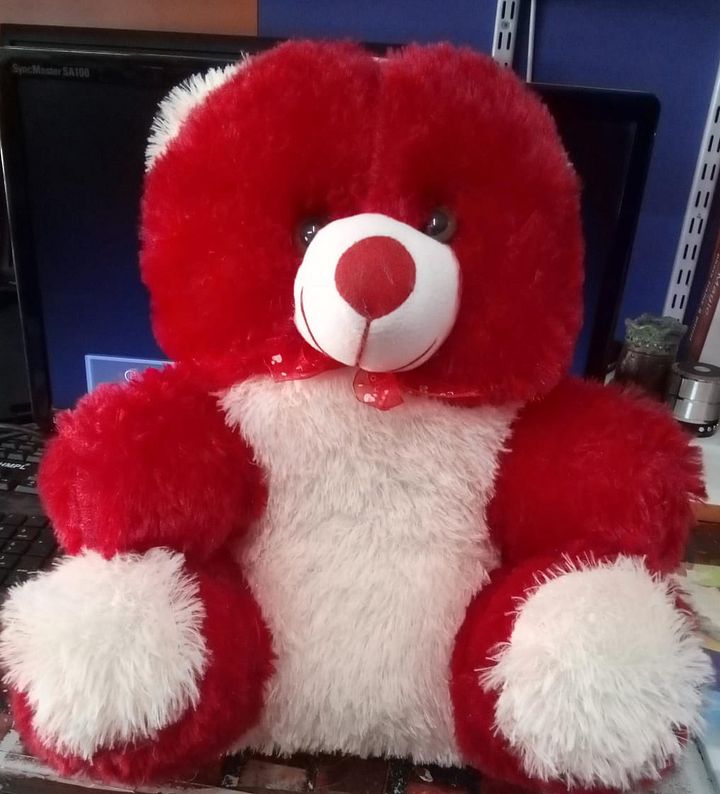 TEDDY BEAR product image (1)