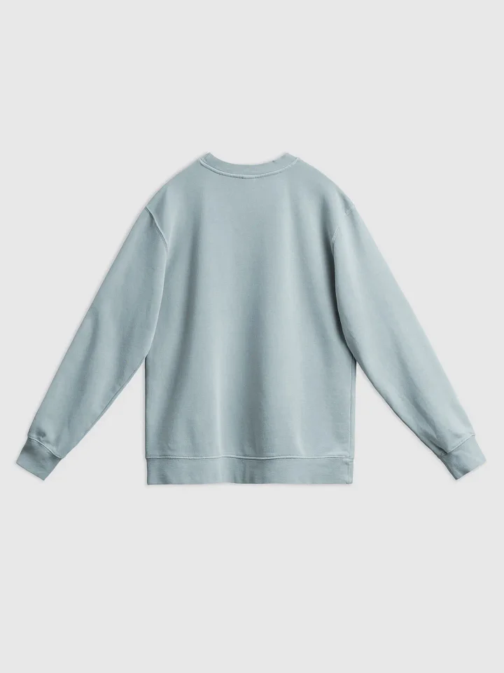 "CTS" - Pigment Dyed Sweatshirt product image (38)