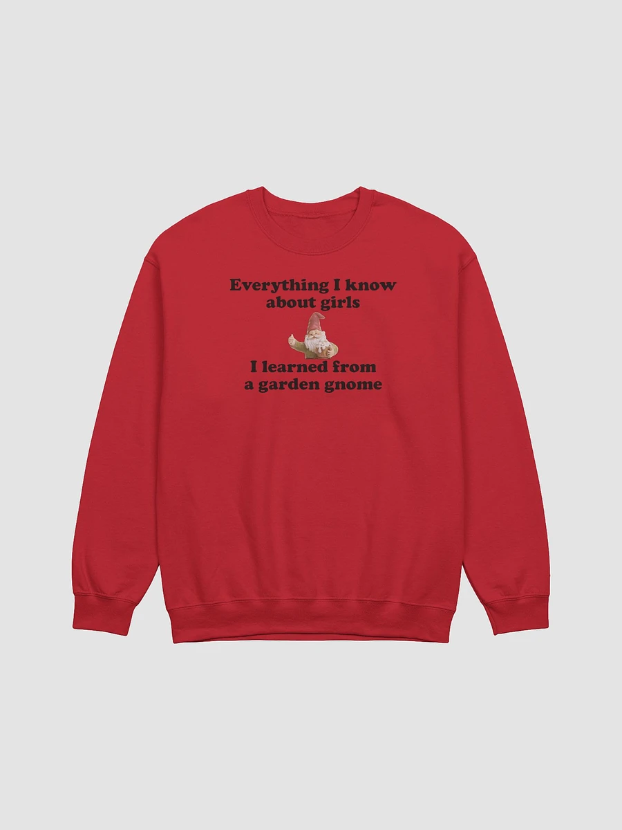 Everything I know about girls classic sweatshirt product image (10)