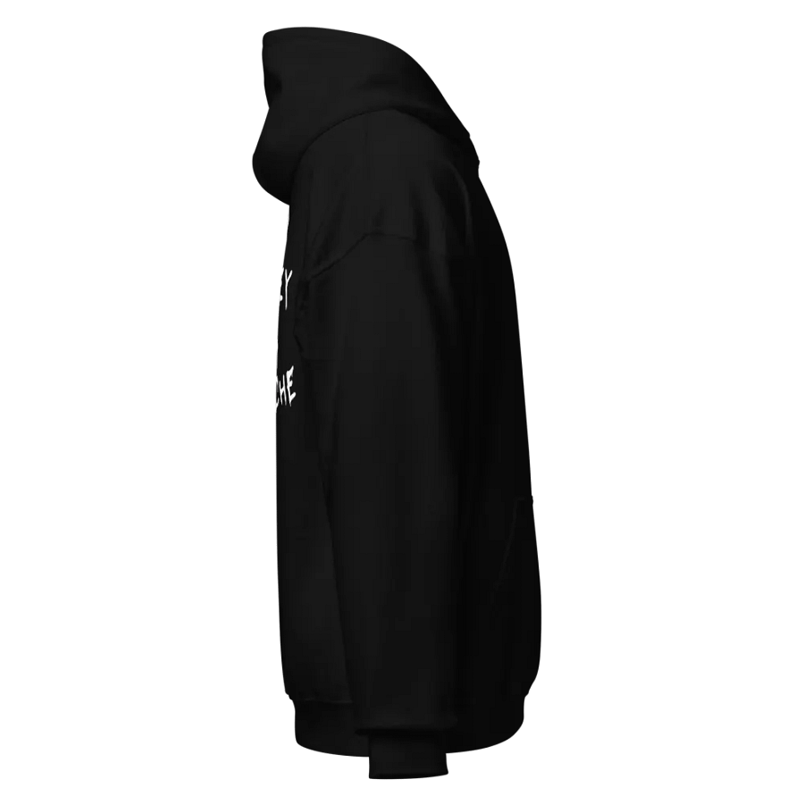NEED MONEY FOR PORSCHE HOODIE product image (4)