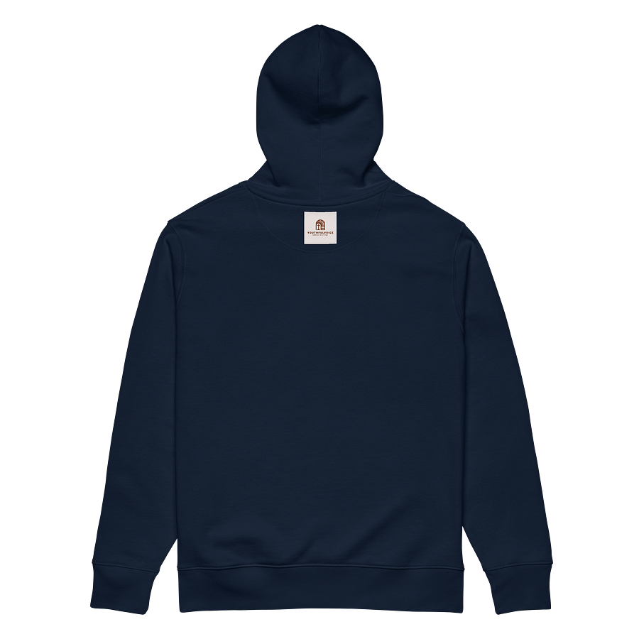 Psalms Hoodie product image (6)