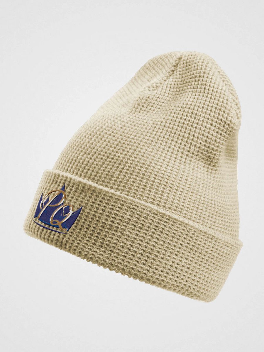 PQ Logo Hat product image (2)