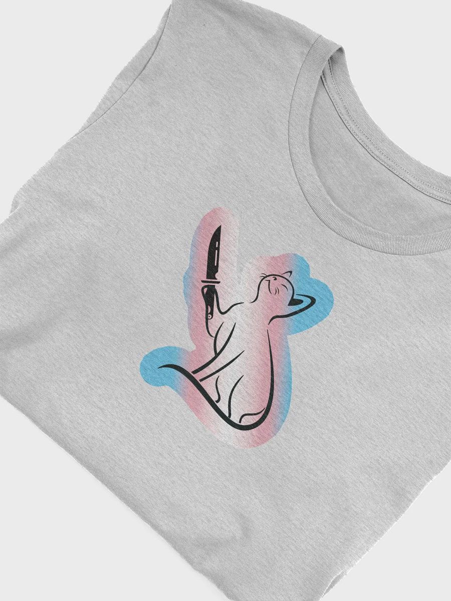 OkayishAF Trans Rights Cat product image (44)