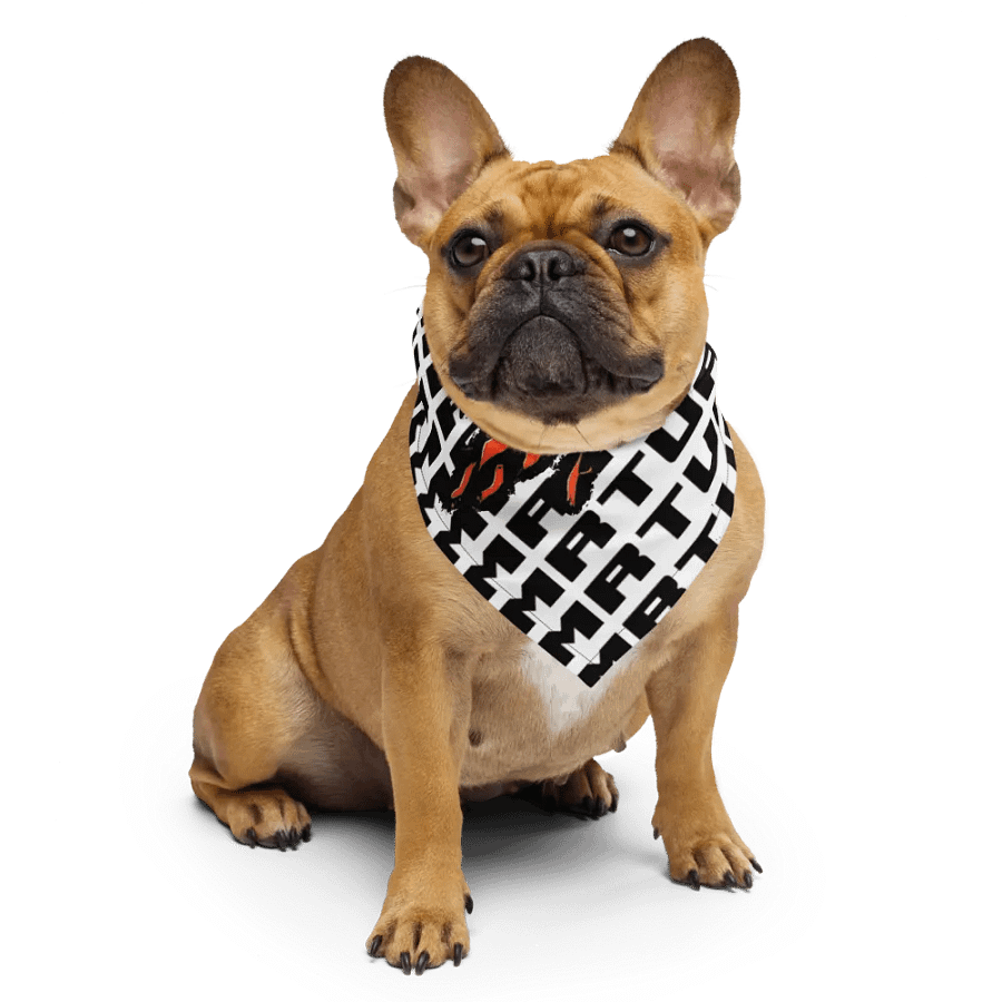 MR_Ts on Fire Bandana product image (4)