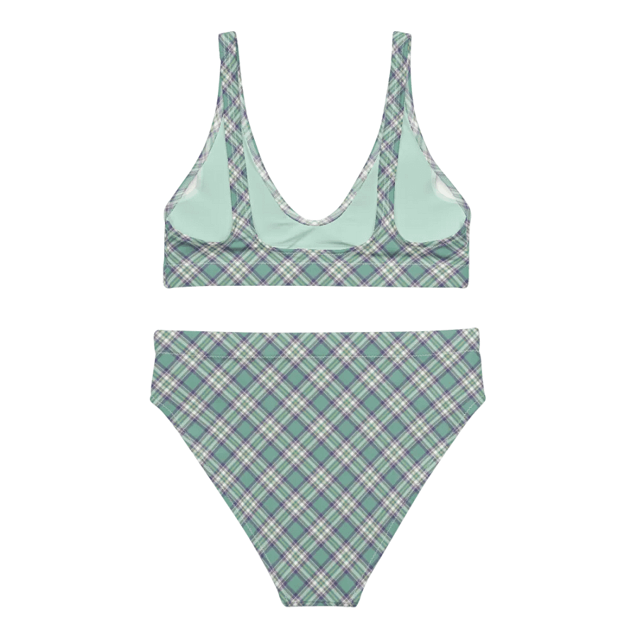 Light Green, Purple, and Yellow Plaid Bikini product image (4)