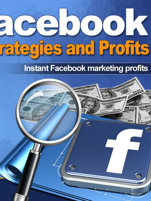 Facebook Strategies and Profits product image (2)