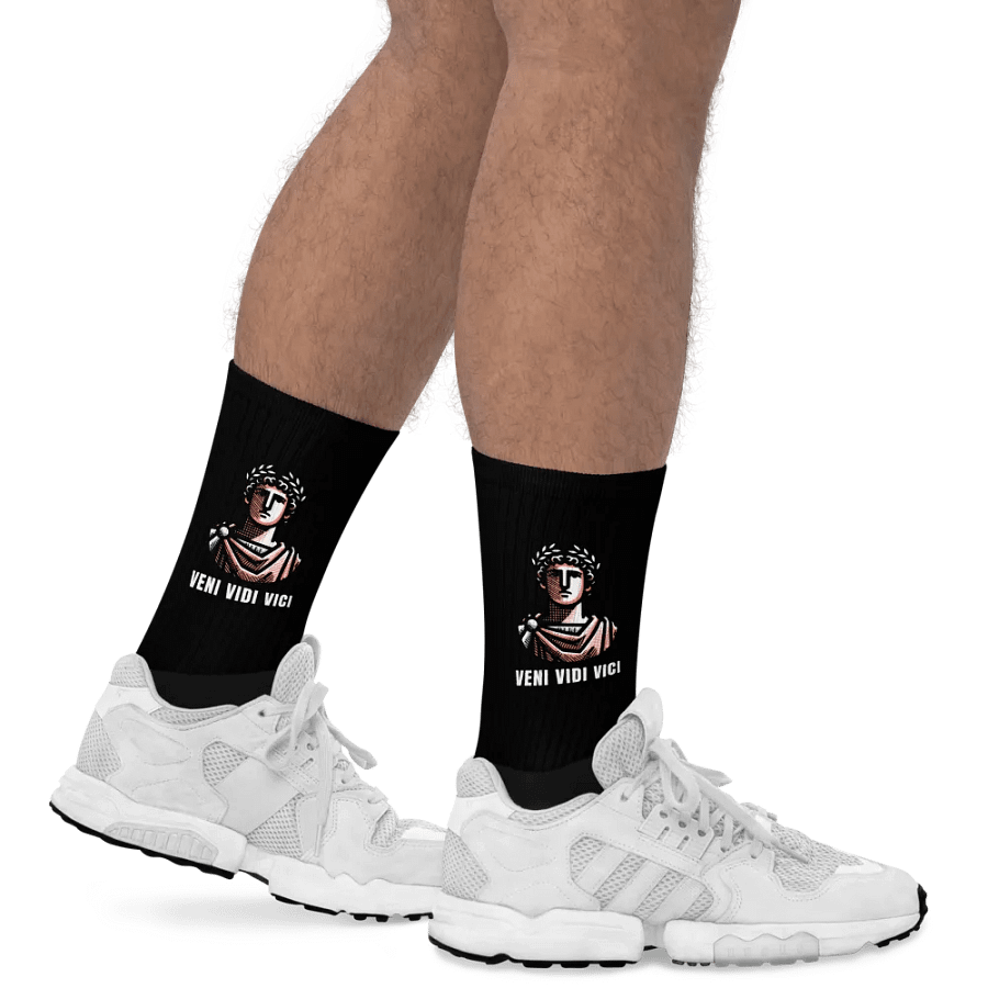 Veni Vidi Vici Socks product image (3)