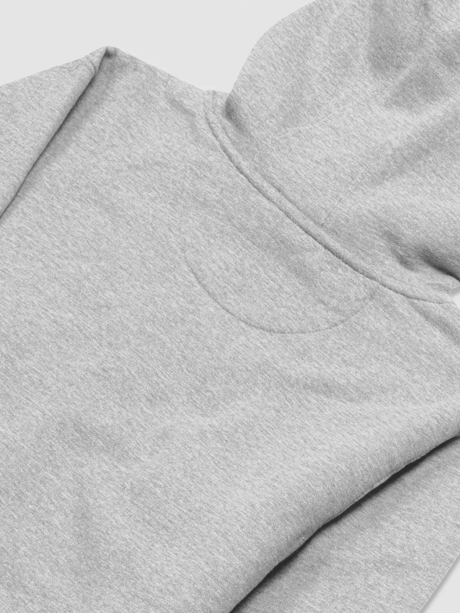 Inspire Inclusion Hoodie - Light product image (4)