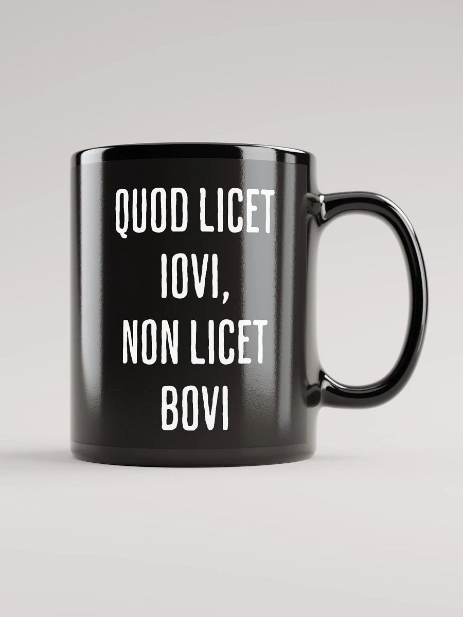 Quod Licet Iovi, Non Licet Bovi Mug product image (4)