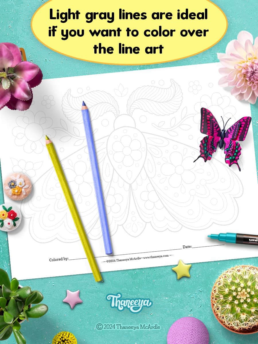 Moth - Single Coloring Page product image (3)