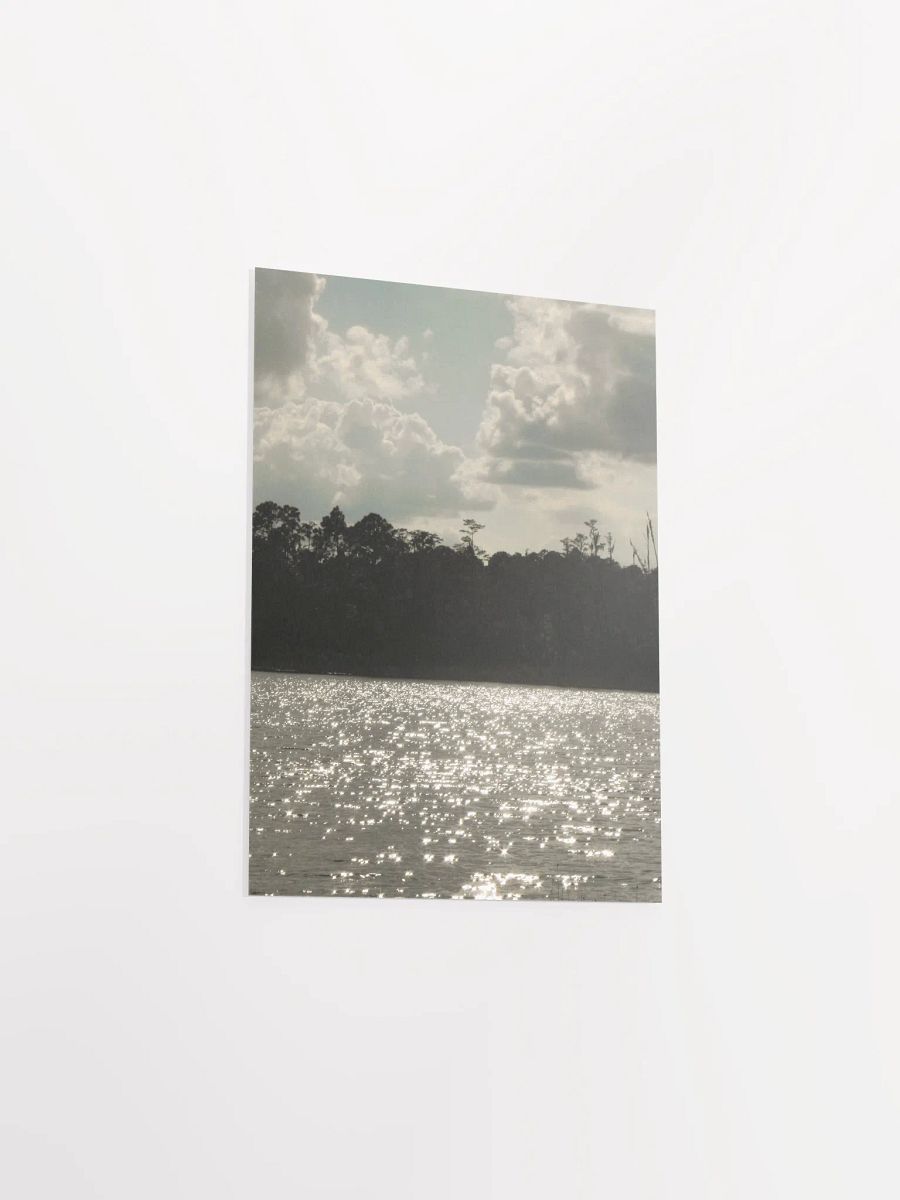 Florida Lake 4 product image (36)