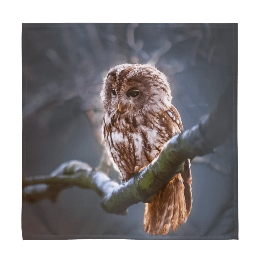 Owls Perched product image (6)