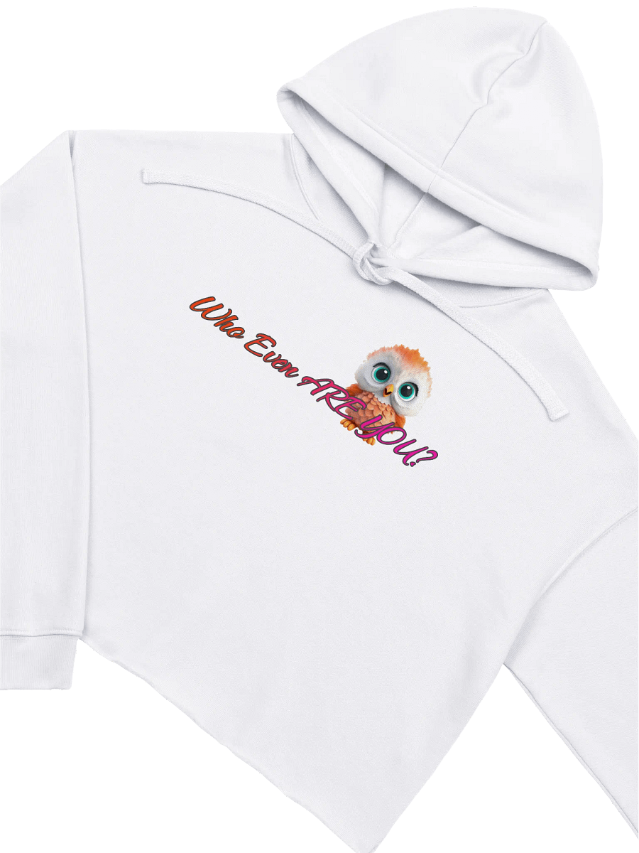 Mystery Babe Crop Hoodie product image (1)