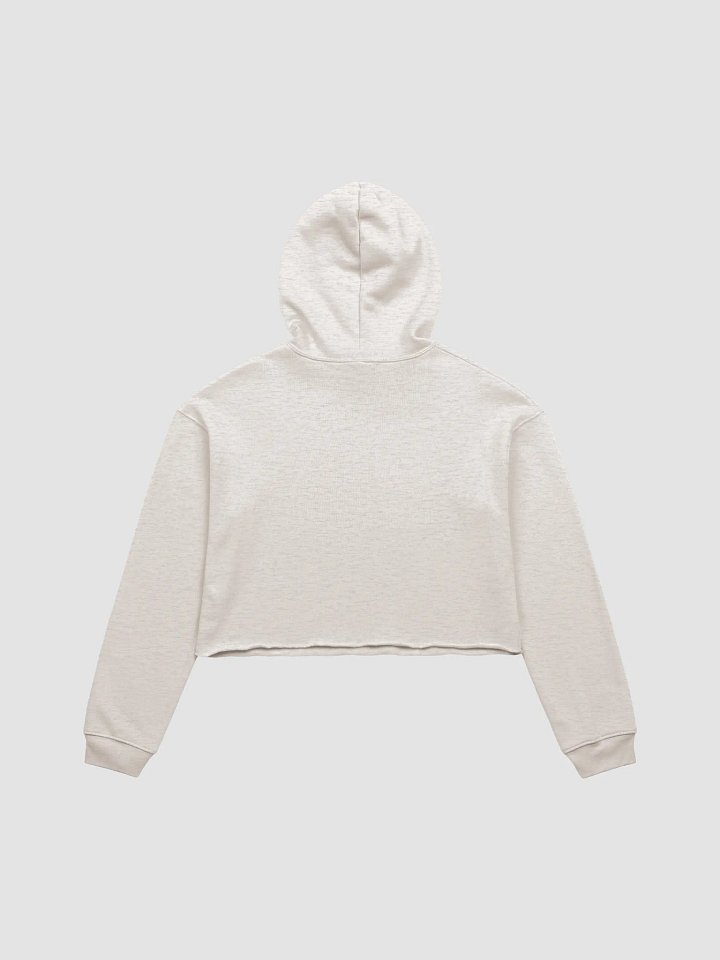 TRS Compass Crop Hoodie product image (2)