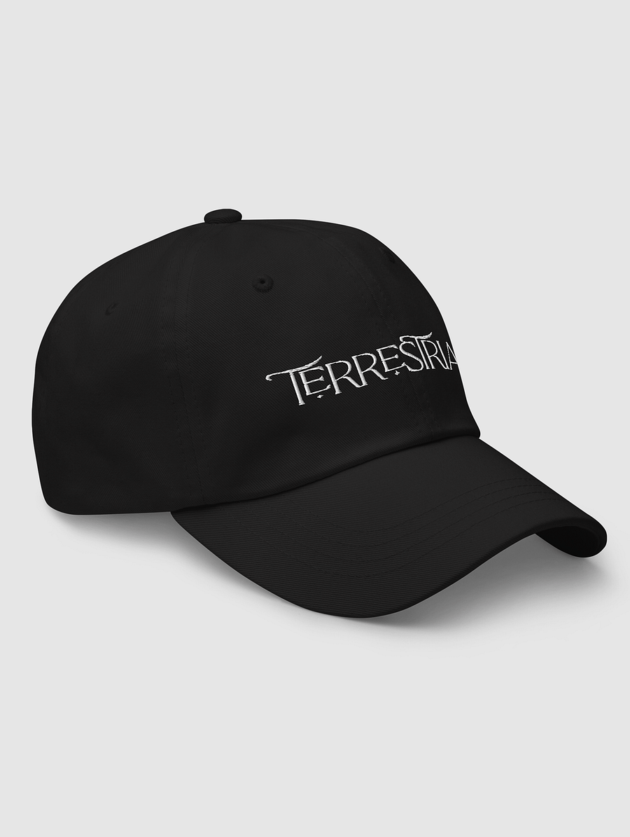 Terrestrial Logo Hat product image (5)
