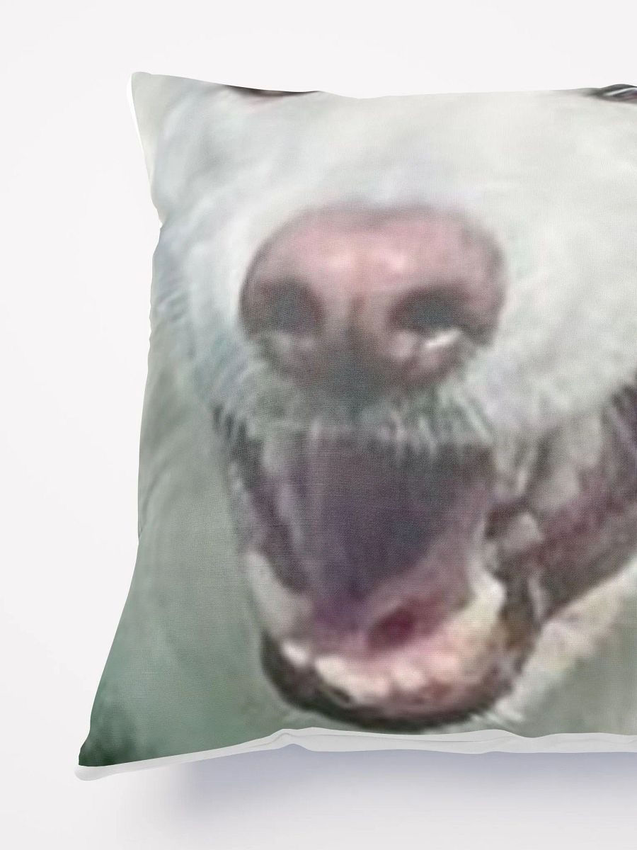 Dallas HEYYOUGUYS Pillow product image (5)