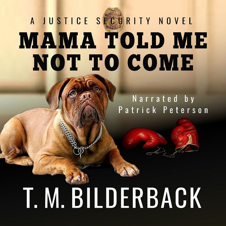 Mama Told Me Not To Come - A Justice Security Novel Audiobook Sample product image (1)