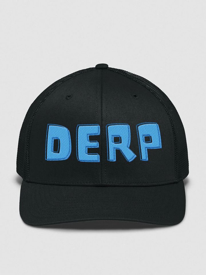 Derp Hat product image (1)