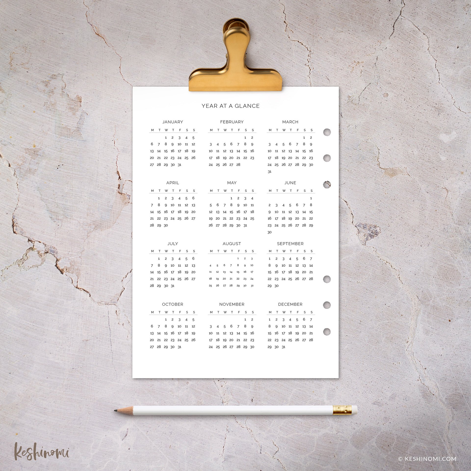 2025 Calendar, Year at a Glance - A5 Printable Planner Insert product image (2)