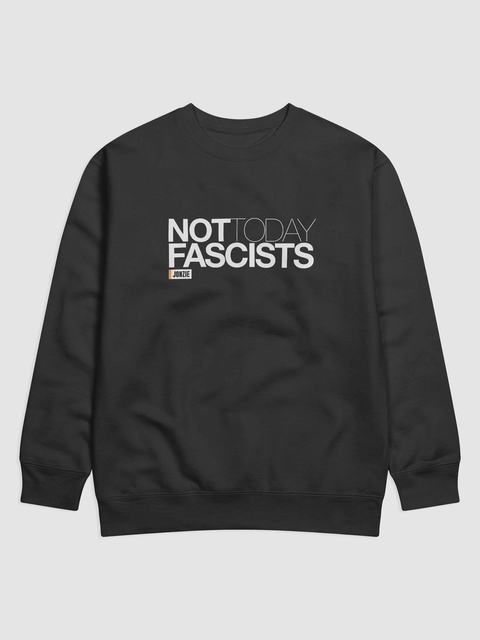 Not Today Fascist Sweat product image (1)