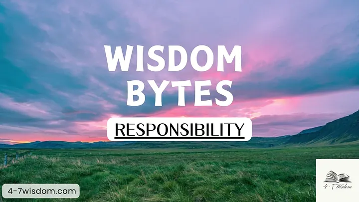 Wisdom Bytes: Responsiblity product image (1)