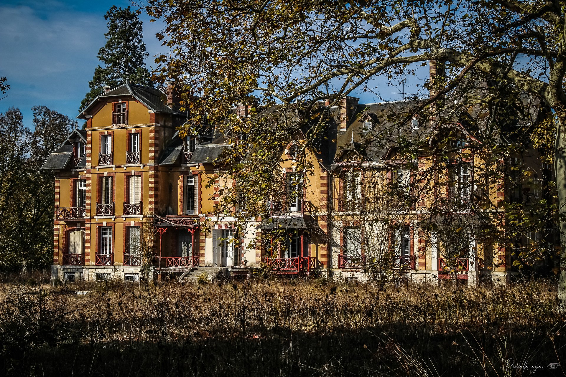 FINE ART PHOTOGRAPHY – THE FORGOTTEN GLORY OF LA VACHETTE CASTLE product image (1)