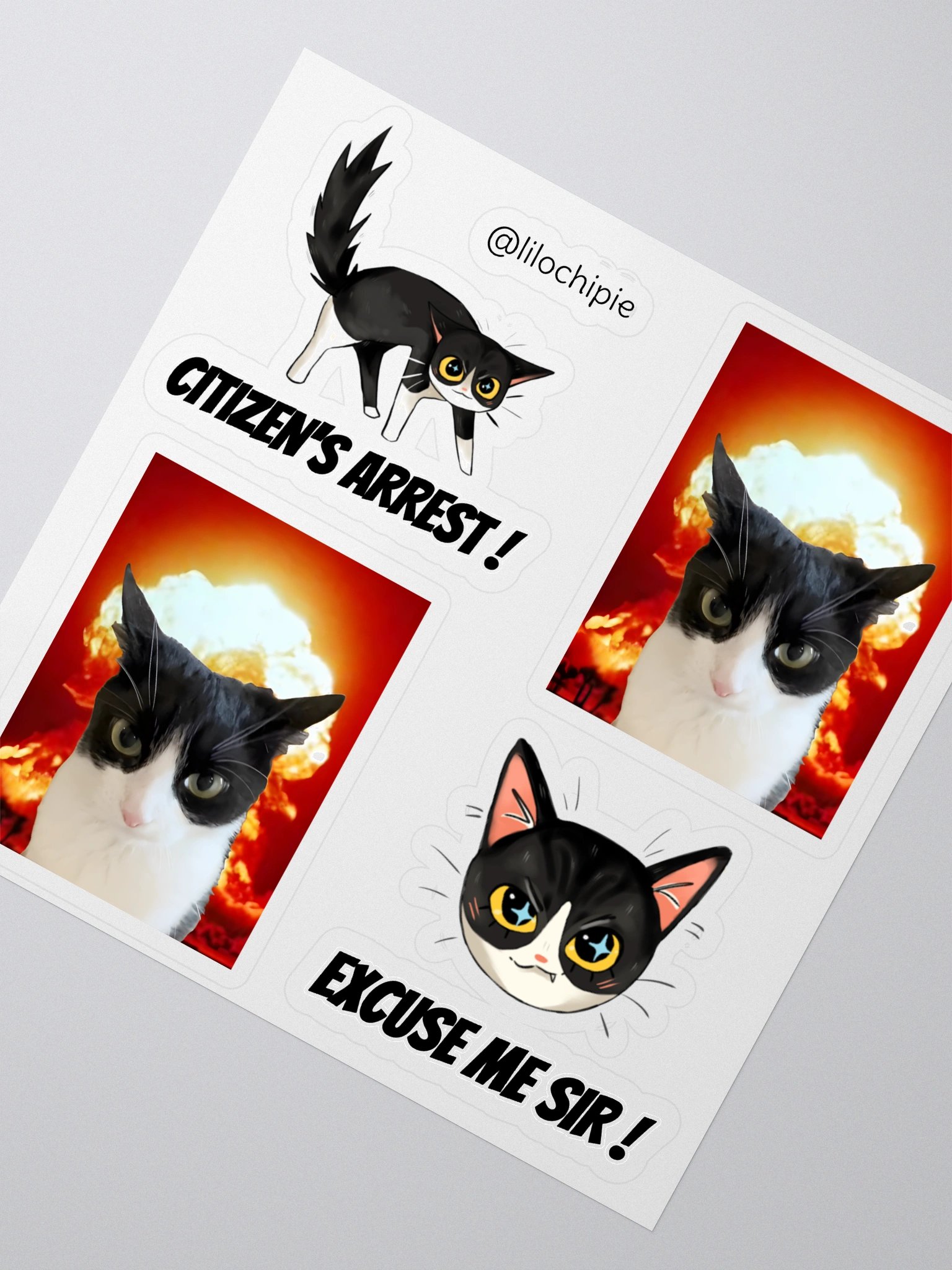Lilo's Stickers product image (2)