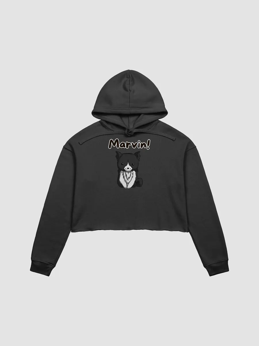 Marvin Cropped Hoodie product image (1)