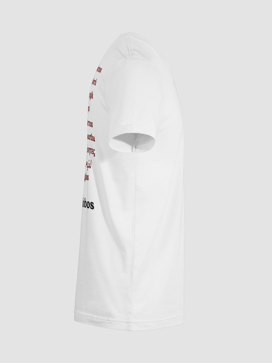 Modern Hobos Worldwide T-shirt product image (12)
