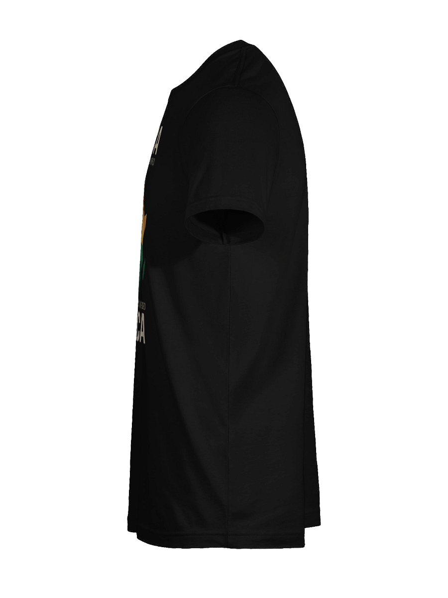 The World Has Always needed Africa Supersoft T-shirt product image (113)