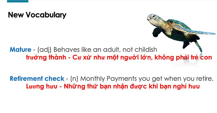 Ready to use Vietnamese IELTS Lesson plan I Subject 'AGE' product image (2)