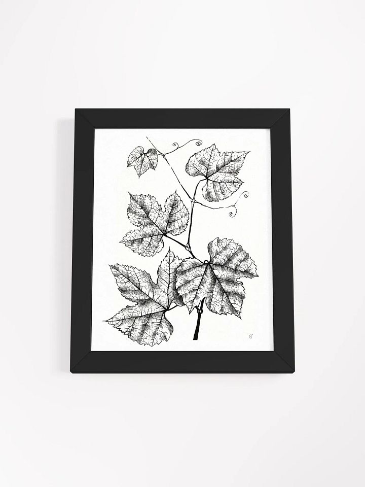 Intricate Vine Line Art Poster - Grape Leaves product image (3)