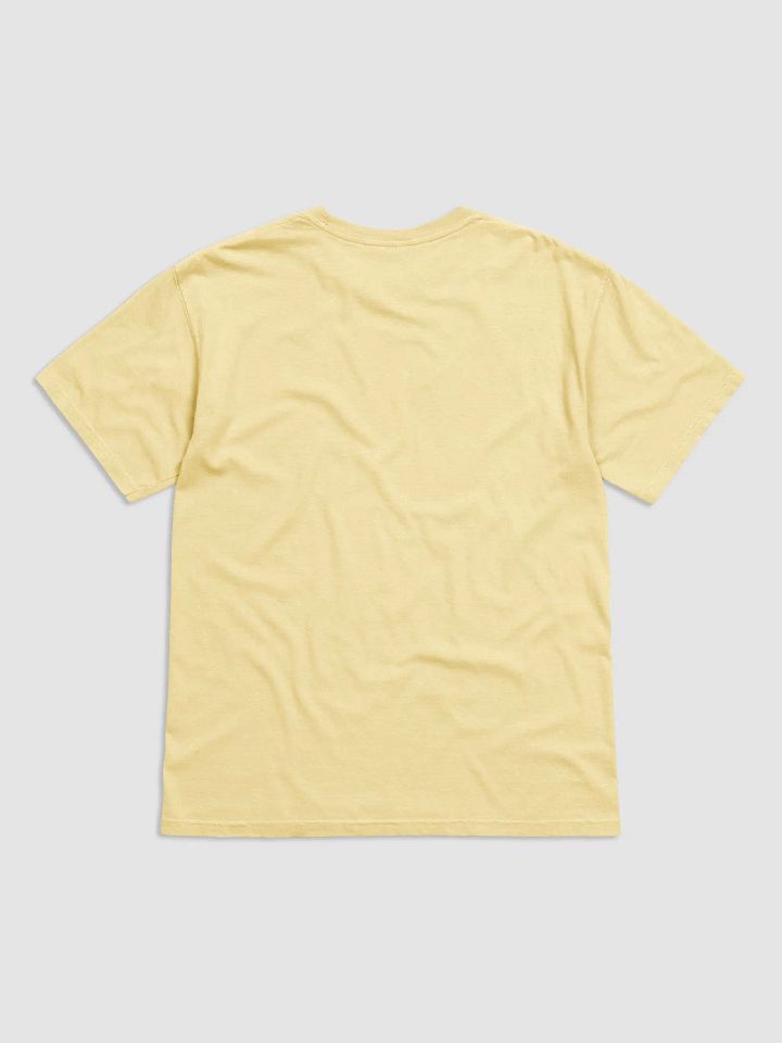 APPLE RANKINGS: RED DELICIOUS APPLE T-SHIRT (Regular Fit) product image (42)