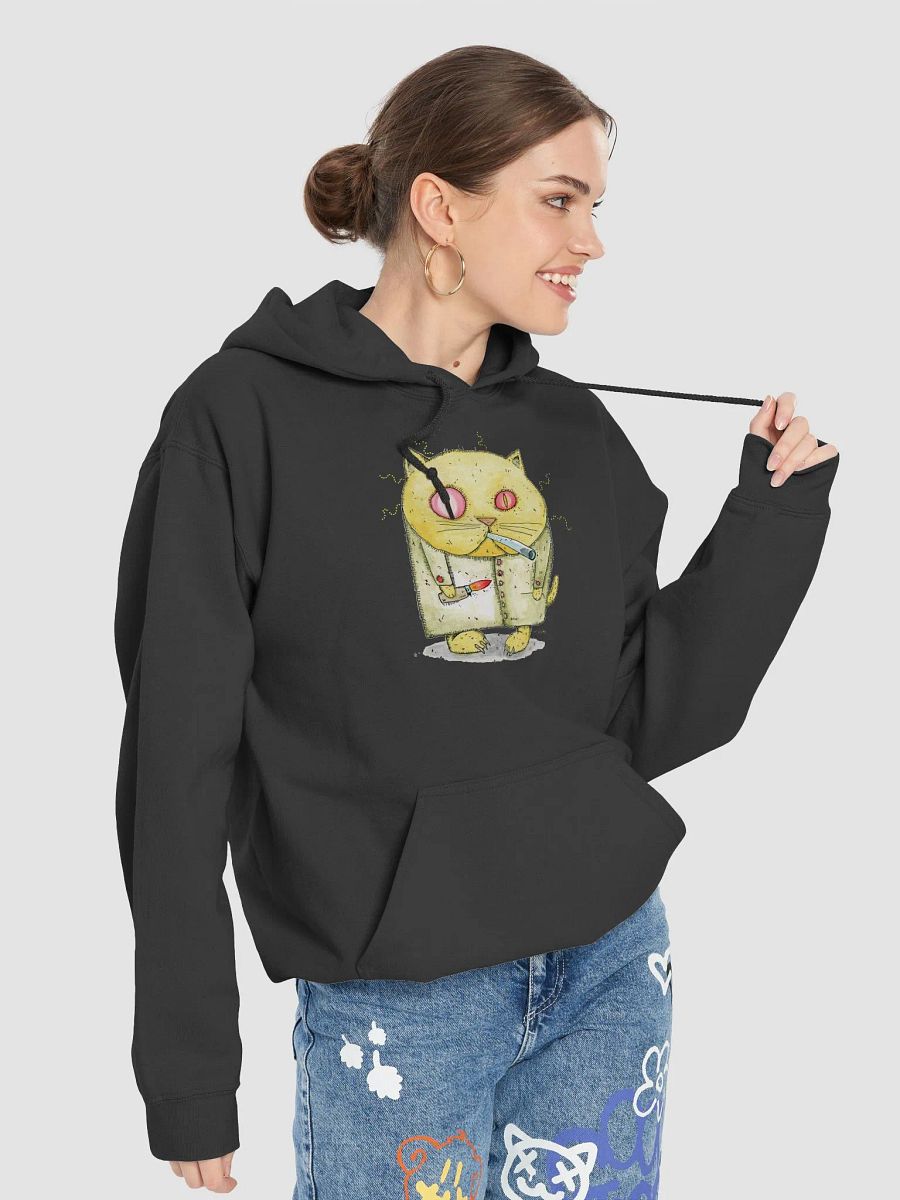 Crack Kitty product image (44)