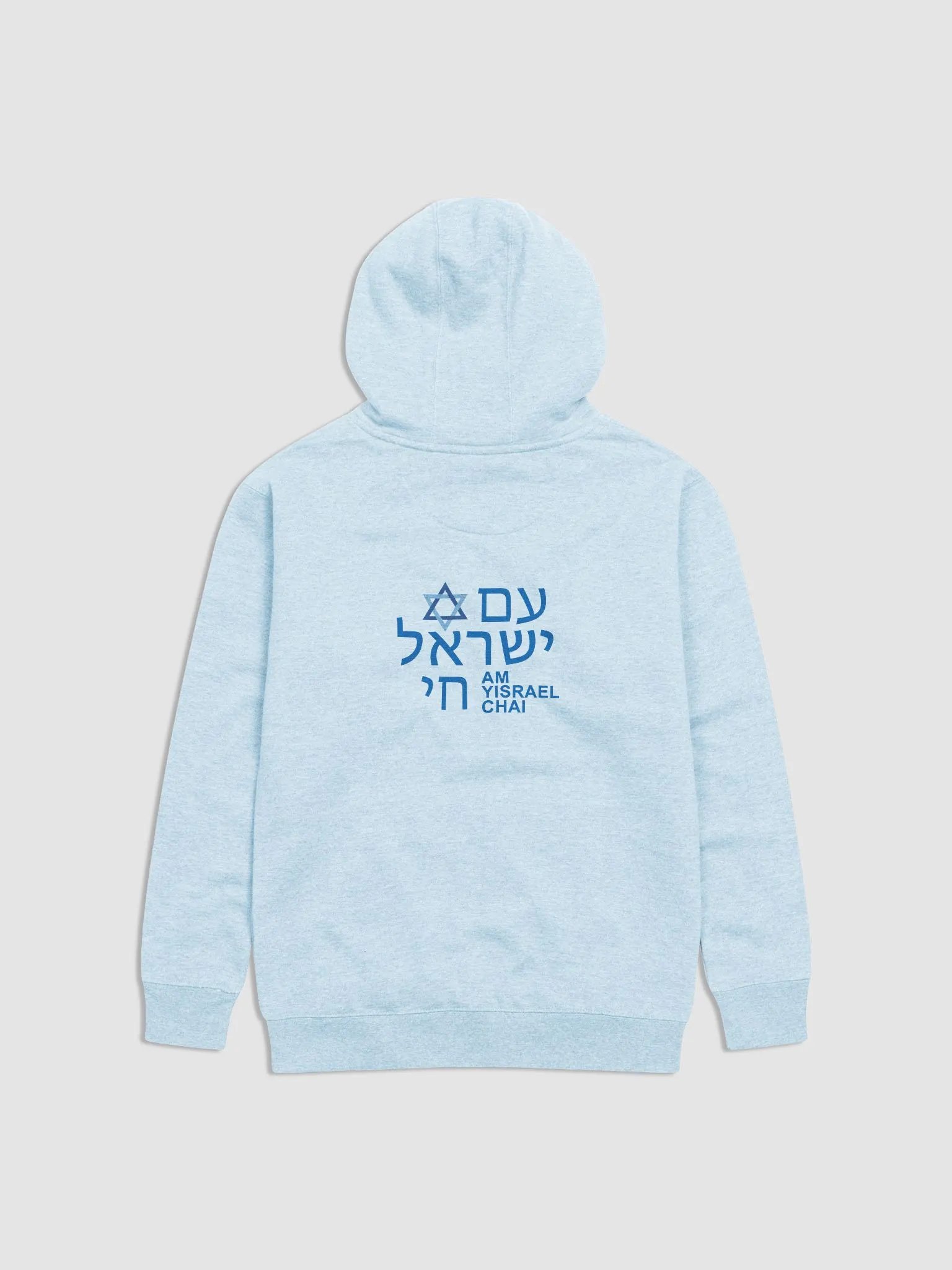 AM YISRAEL CHAI Premium Hoodie product image (17)
