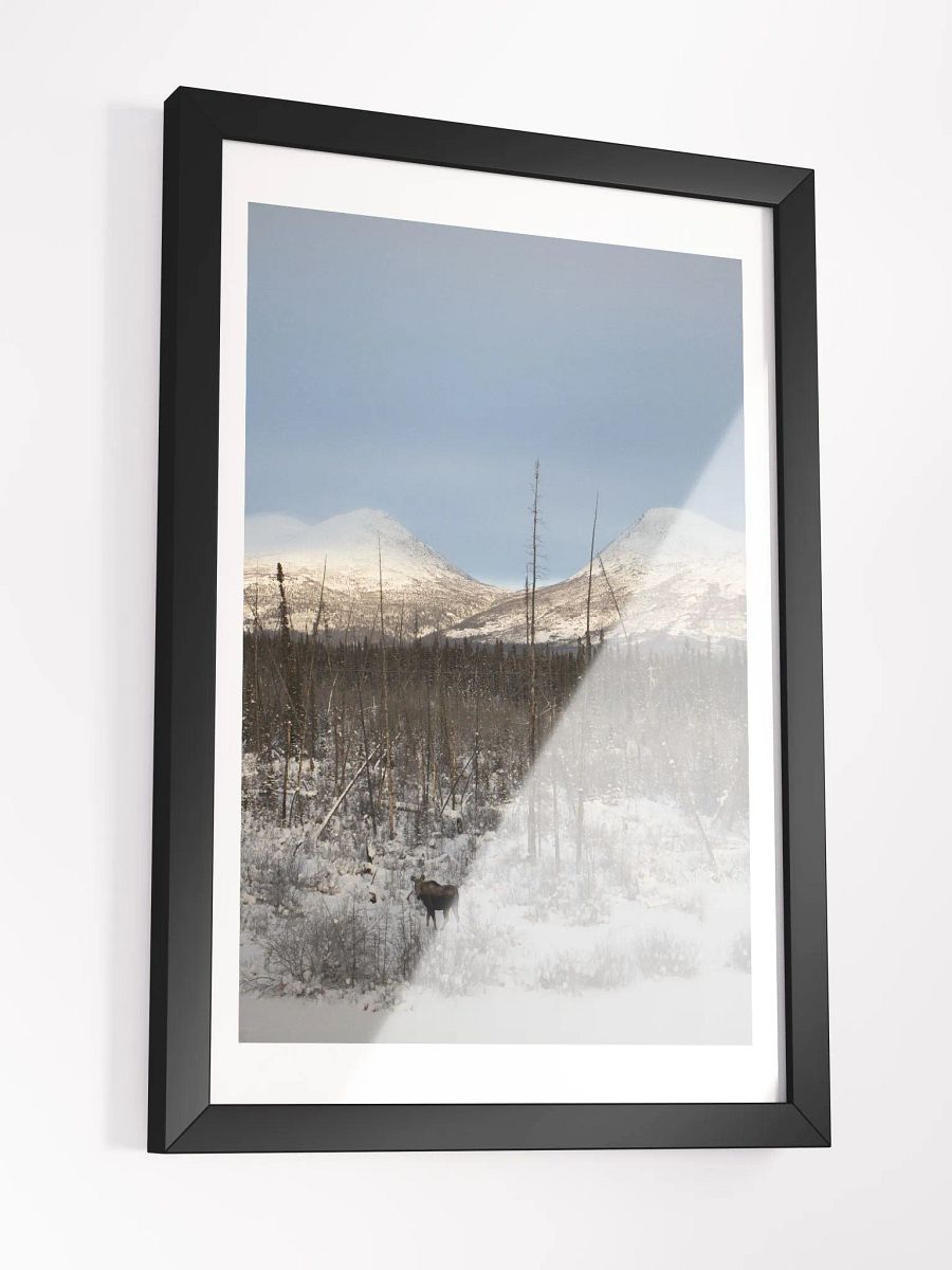 Moose and Mountains product image (3)