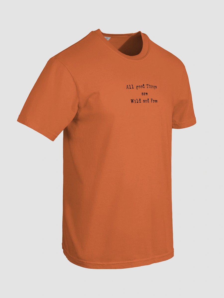 Cat Wisdom T Shirt product image (108)