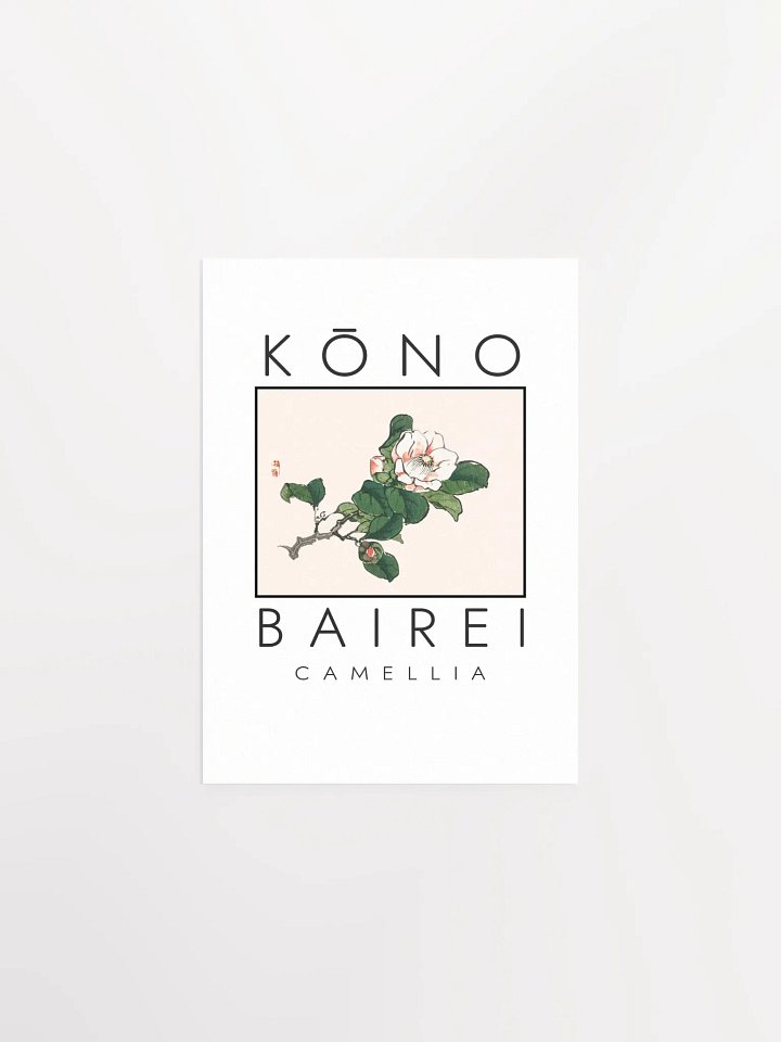 Kono Bairei Camellia Poster product image (2)