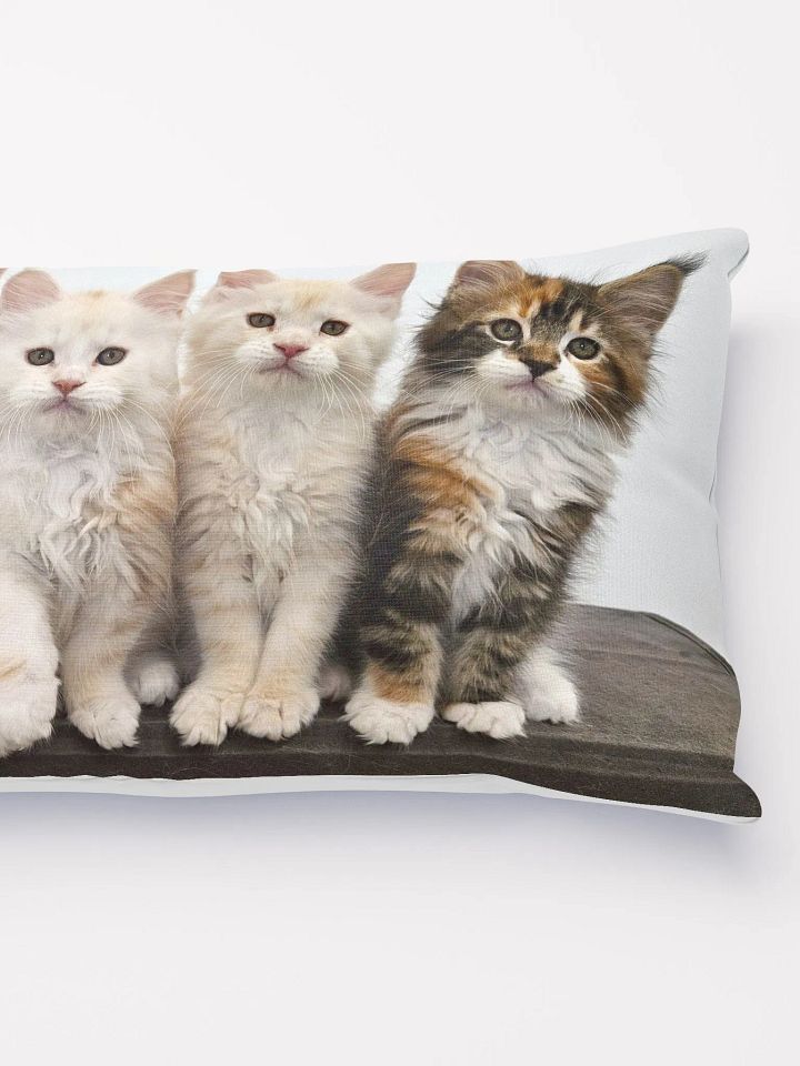 Ada's Kittens - Pillow product image (2)