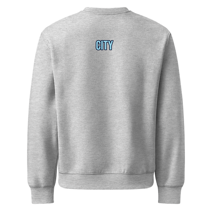 QC oversized sweatshirt product image (6)