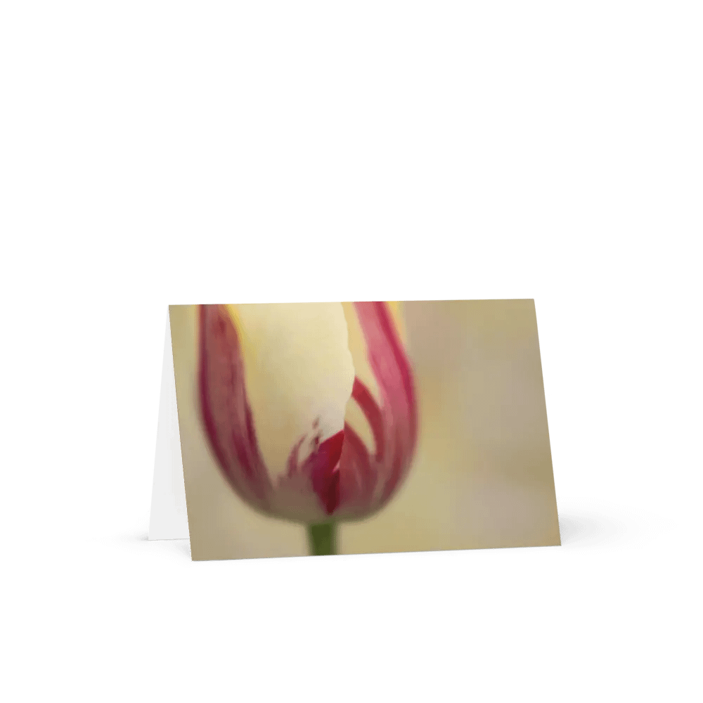 Dreamy Tulip Notecard product image (4)