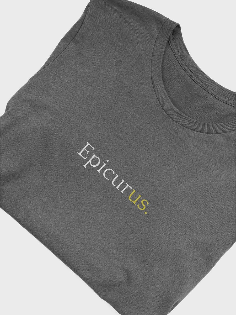 Epicurus Gets Us (Bella+Canvas Supersoft T-Shirt) product image (35)