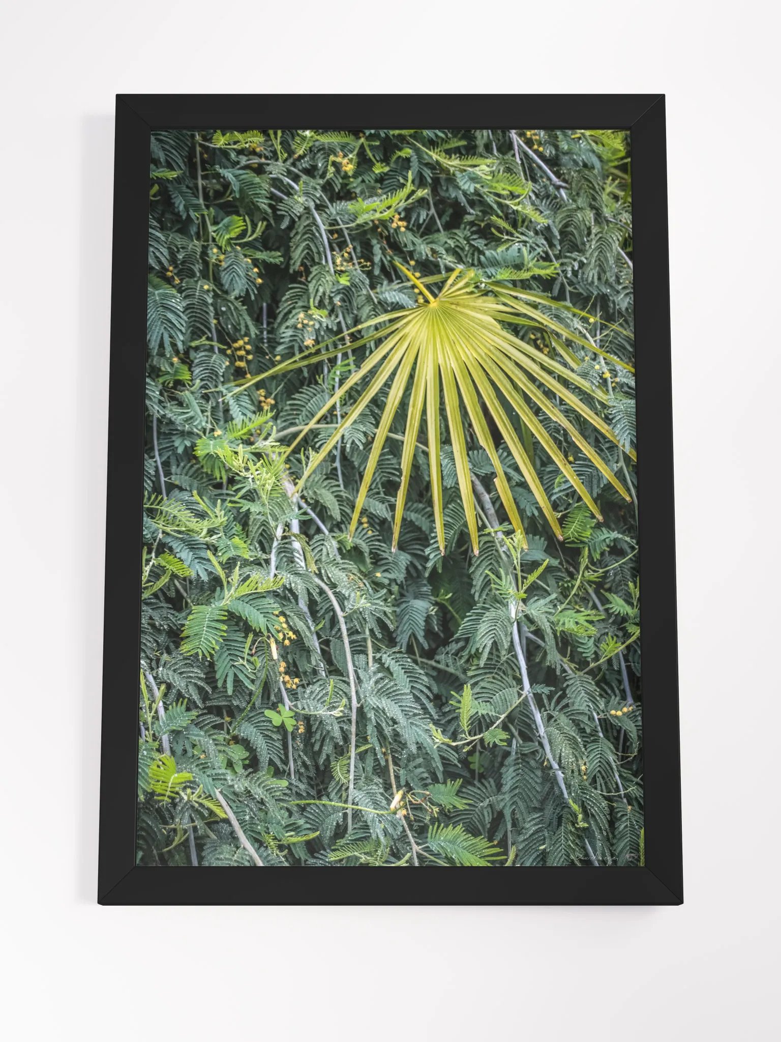Print Fine Art – The Glow of the Palm | Rayol Canadel Collection product image (7)