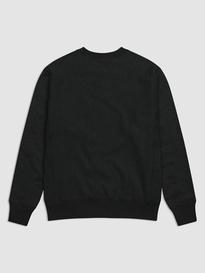 Champion Brand Atura Gaming Sweatshirt product image (2)